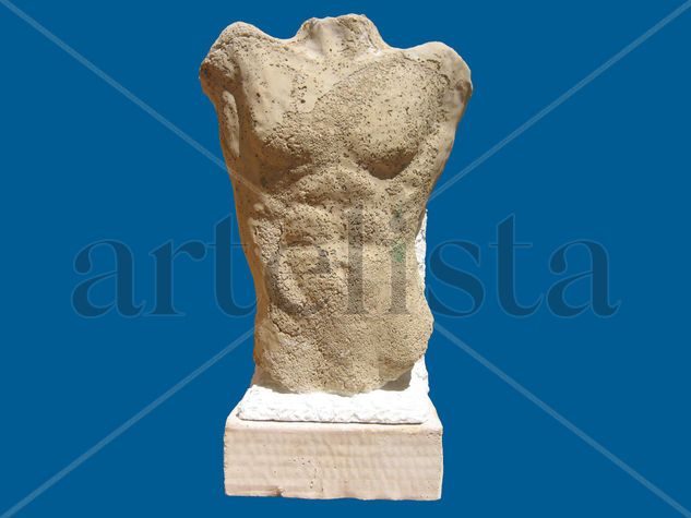 Torso masculino. Estudio Mixta Figurativa