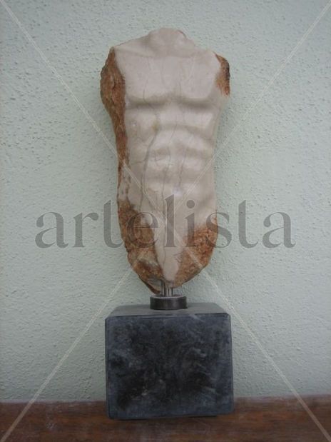 Torso masculino