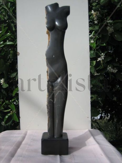 Medio torso