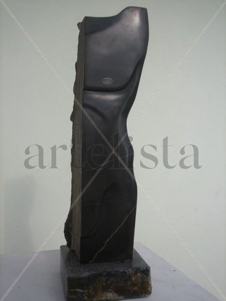Medio torso simple...