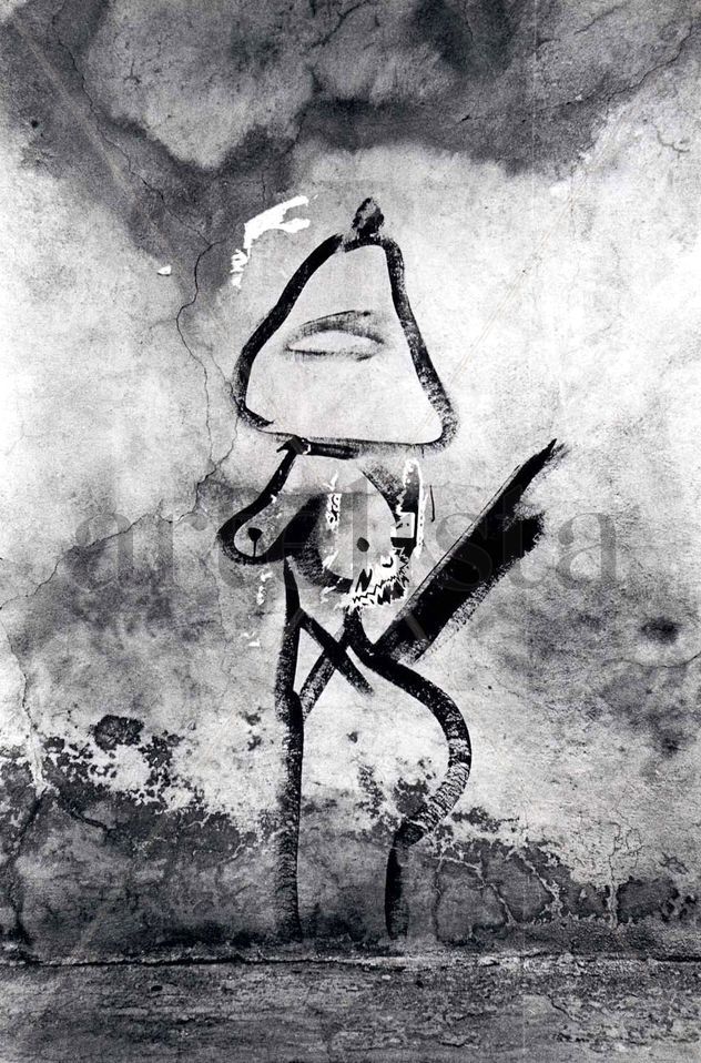La guerillera