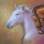 caballos thumbnail 2