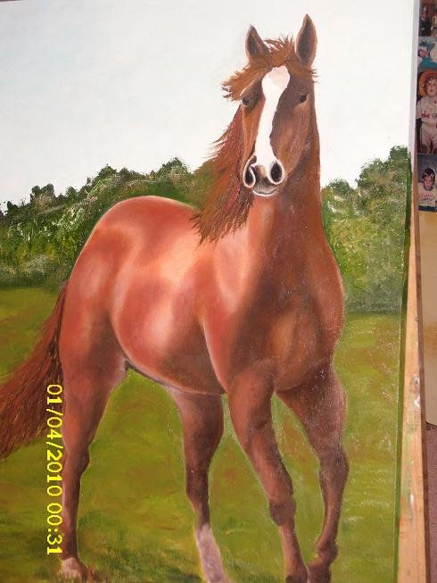 CABLLO SALVAJE