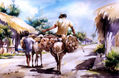 paisaje sabanero