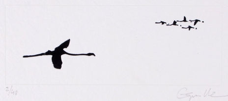 Flamencos relieve