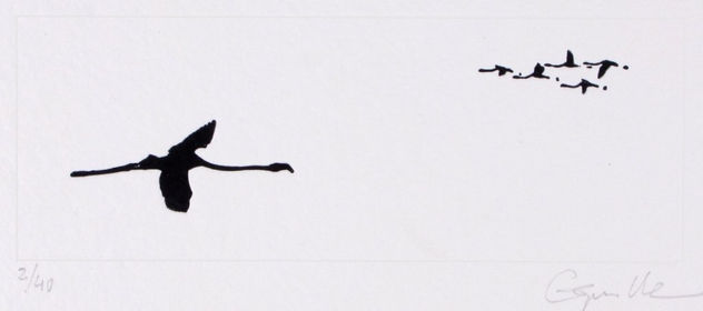 Flamencos relieve
