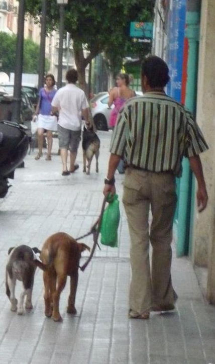Callejeando por...