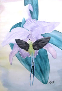 Orquidea y colibri