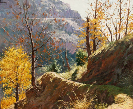 Camino en la sierra