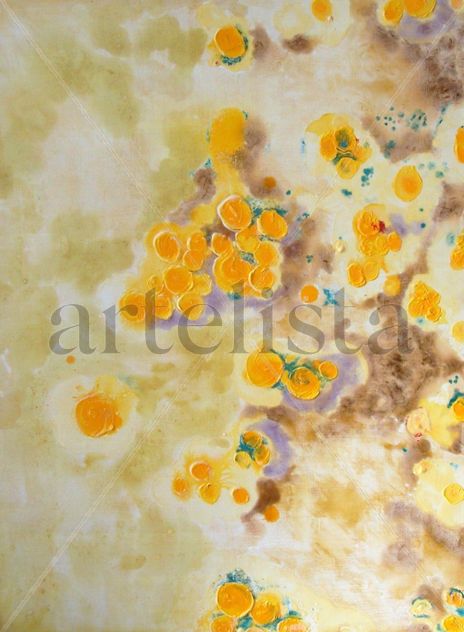 Oranges