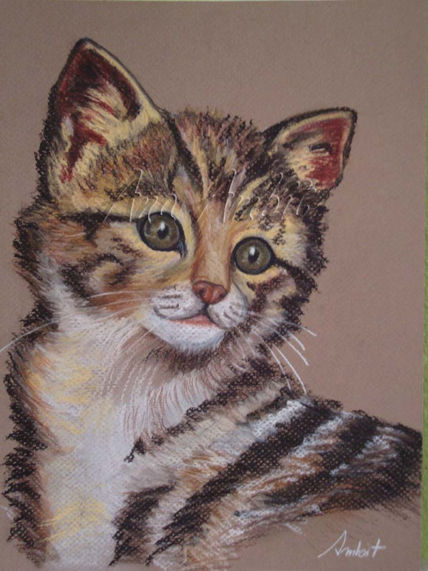 Gato