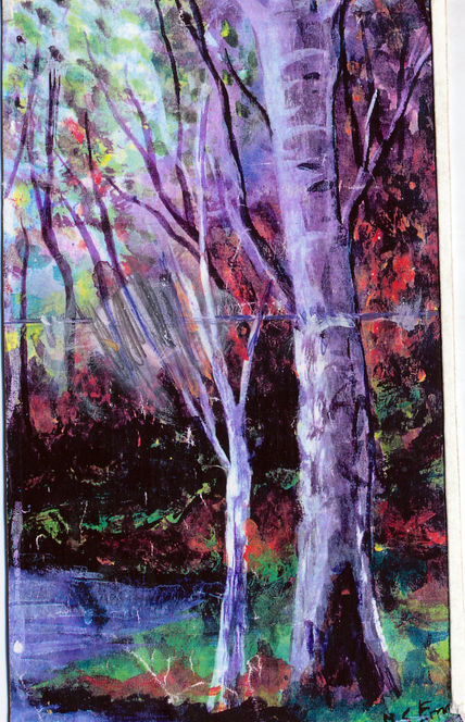 El bosc