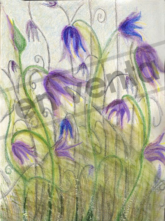 FLORES LILAS