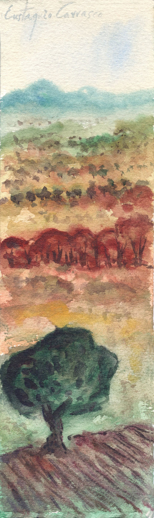 Árbol en primer plano y motaña al fondo, (Tree in the foreground and the background Mountains)
