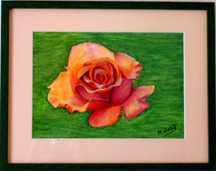 Rosa
