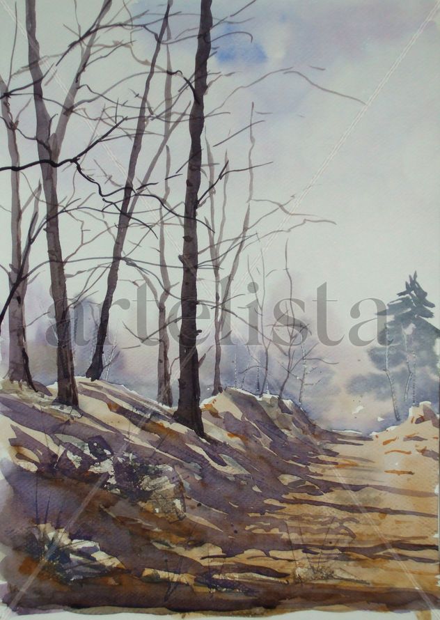 bosque
