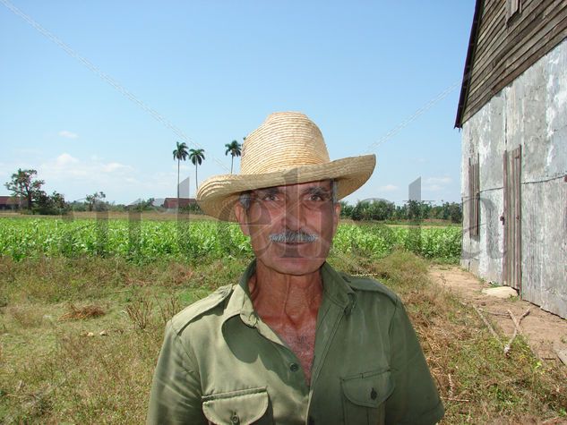 Guajiro 