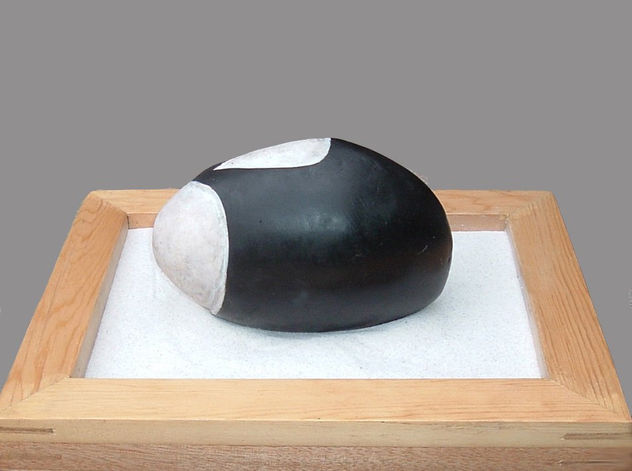 Introspección del cubo. 3