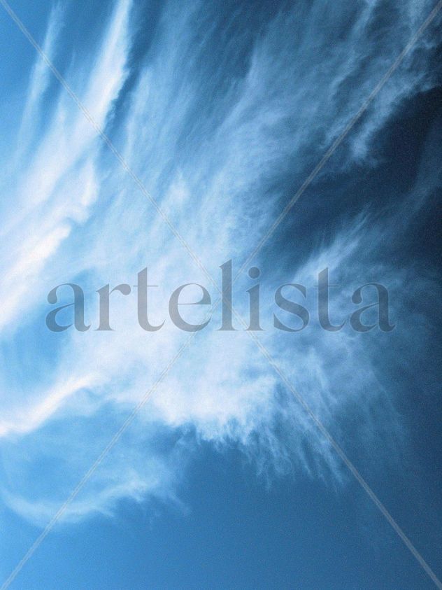 VUELO