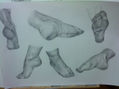 pies