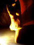 cuerpos body painting