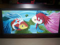 PECES 1