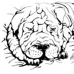 caricaturas thumbnail 1