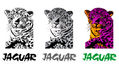 jaguares