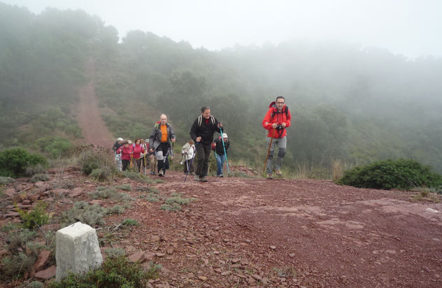HOMOS SAPIENS EN LA NIEBLA