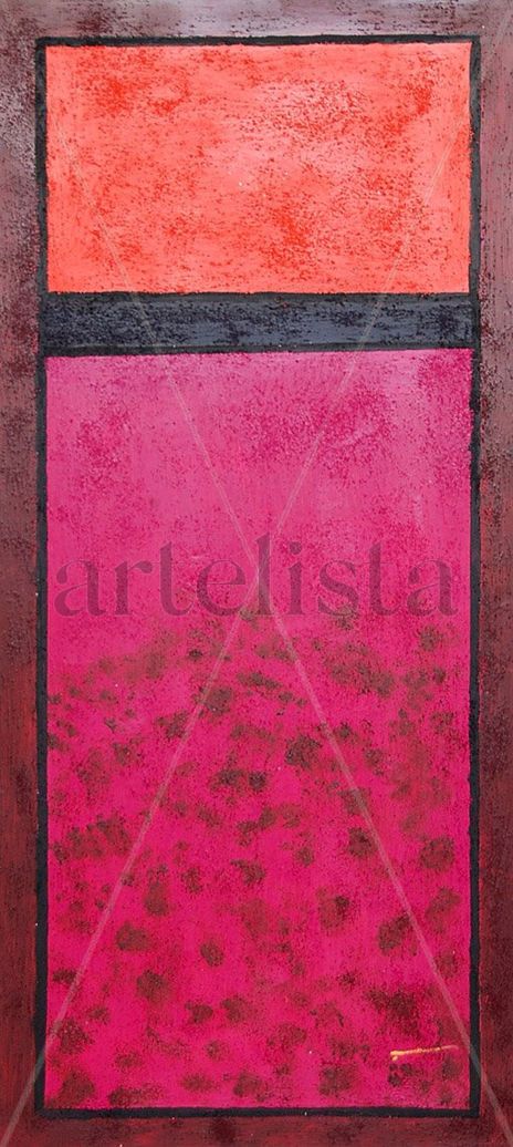 Fucsias