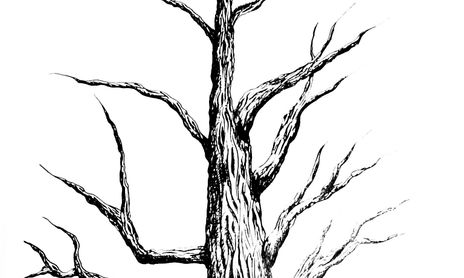 ilustracion