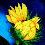 Flores y Naturalezas Muertas thumbnail 1