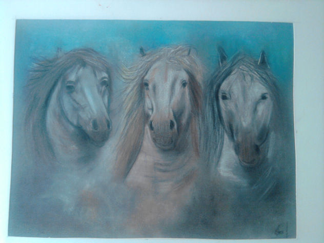 caballos