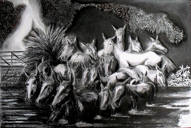 BLANCO CAGON