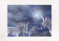 La Nit dels Unicorns