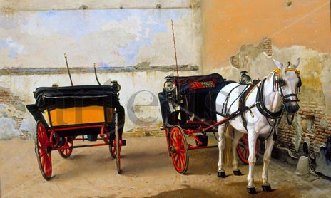 CABALLOS