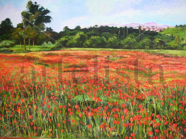 Nº64 CAMPO DE AMAPOLAS Acrylic Canvas Landscaping