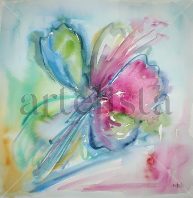 Lilium II