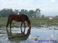 REFLEJOS 8