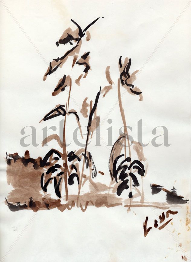 " A FEW PLANTS"