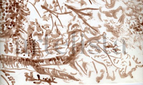 THE PICTURES IN INK BLACK AND SEPIA 'S INK