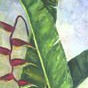 BODEGONES thumbnail 1