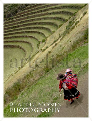 Terrazas de sembrado Photojournalism and Documentary Color (Digital)