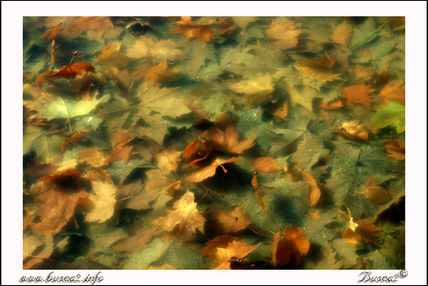 Otoño