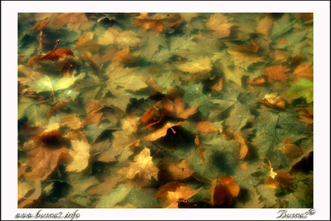 Otoño