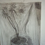 Caboncillo thumbnail 1