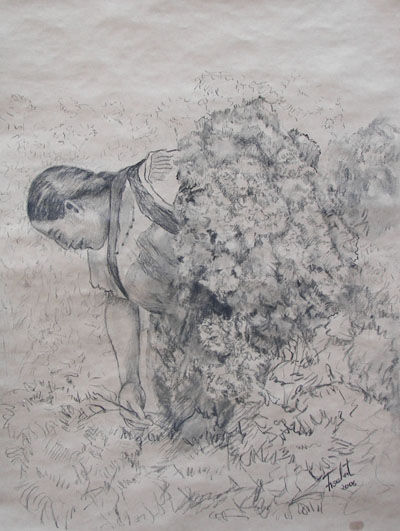 Irma en el Campo