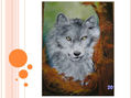 lobo