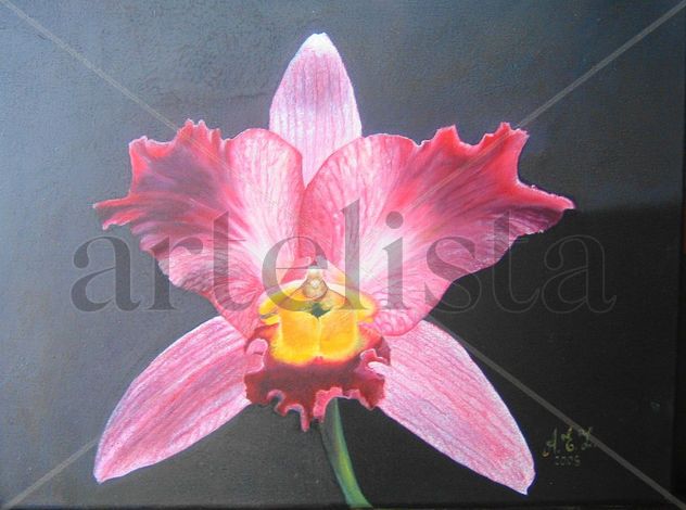 orquìdea