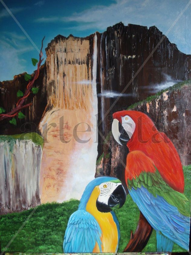Salto Angel de venezuela